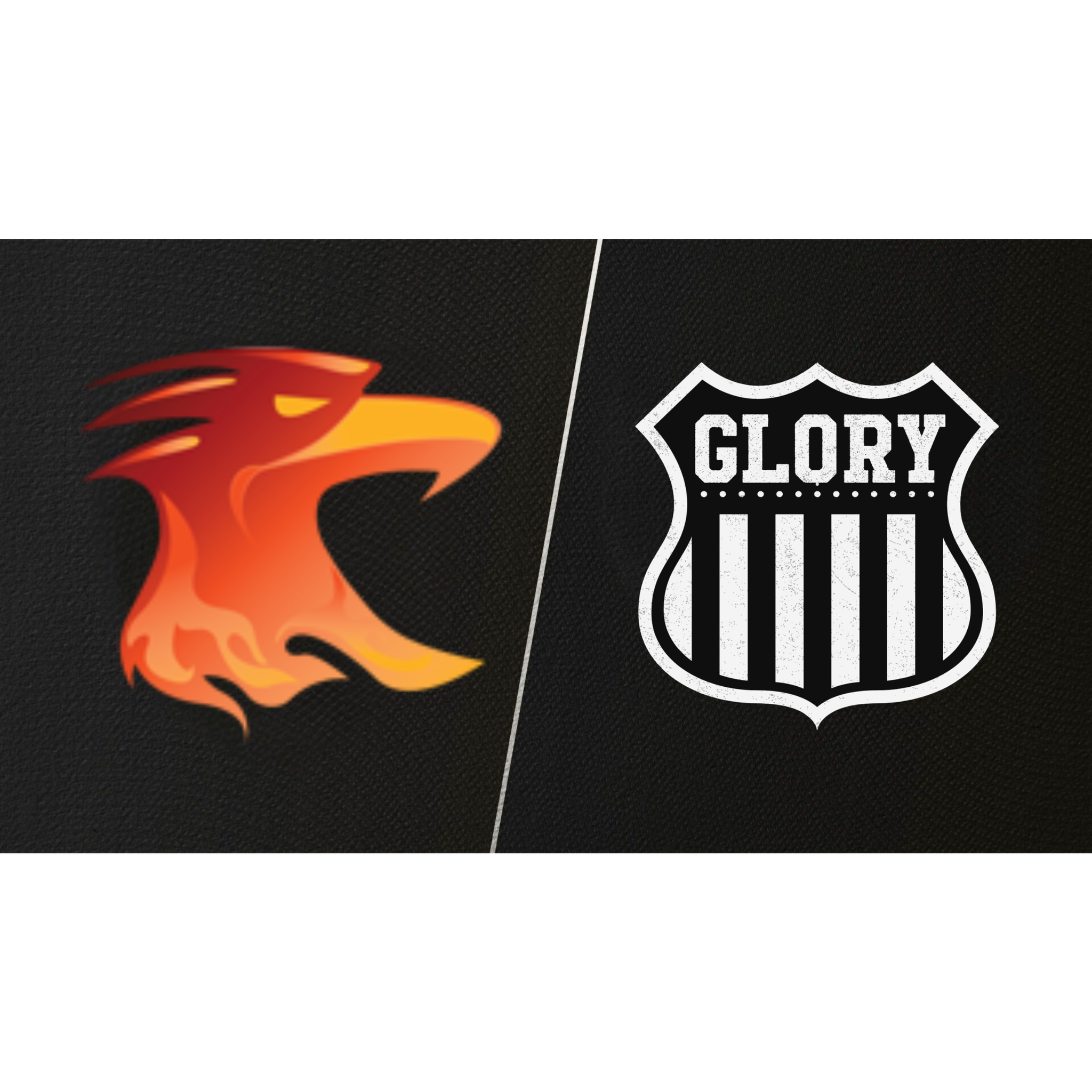 June 20, 2026 Glory Home Game #5 v. Philadelphia Phoenix EARLY BIRD Ticket